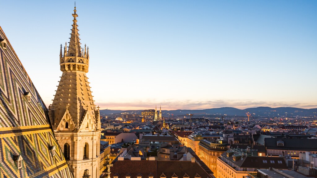 View of an old steeple and city of Vienna, Austria