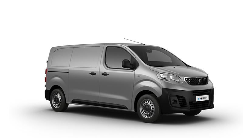 PEUGEOT Expert van