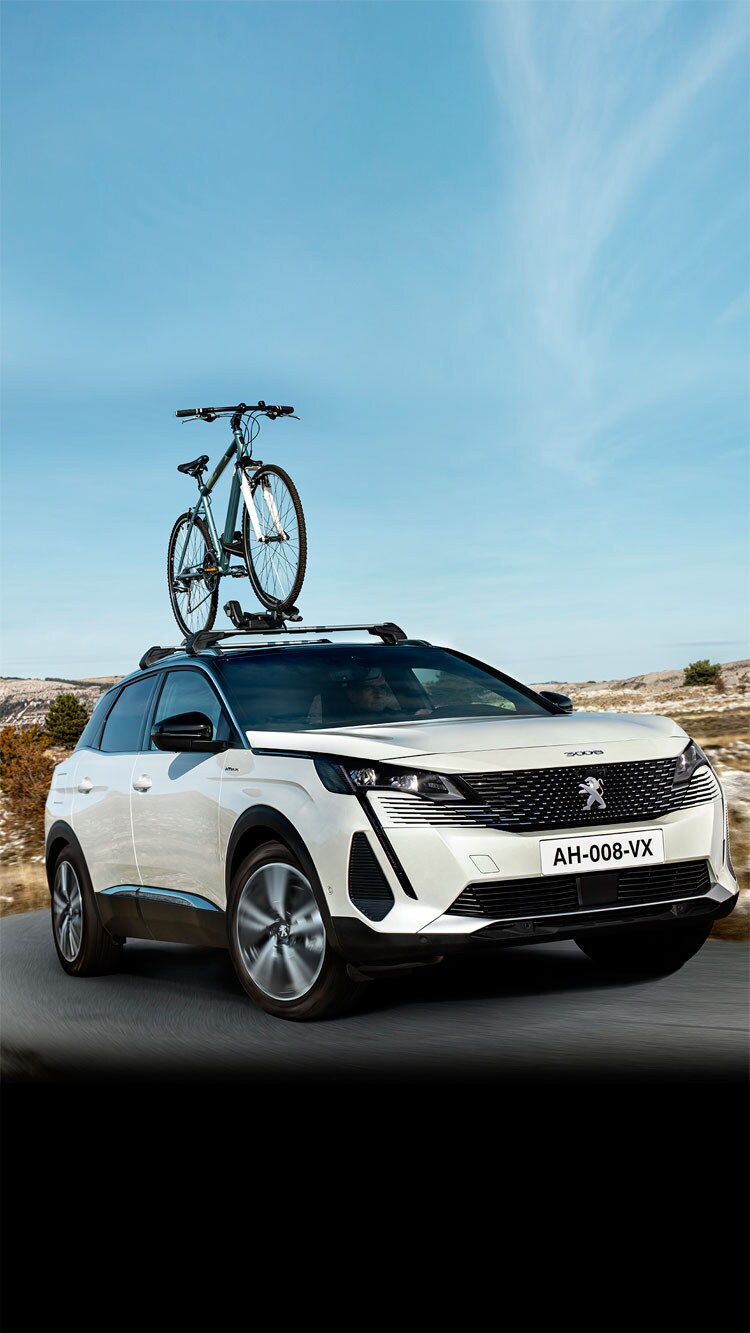 peugeot 208 bike rack